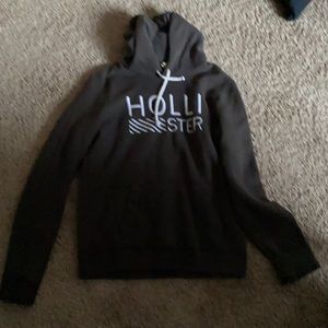 Hollister m